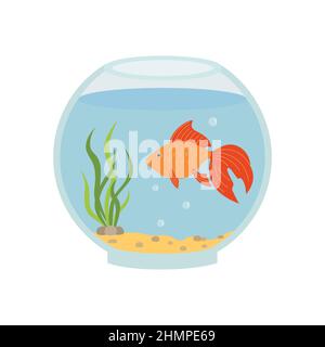 Rundes Aquarium mit Goldfischen. Vektordarstellung isoliert. Stock Vektor