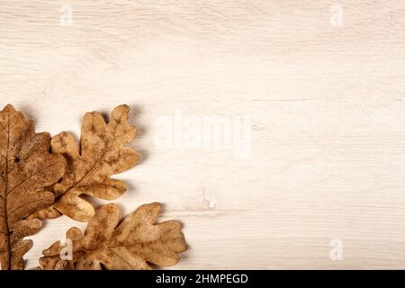 Laub aus Herbsteiche Blätter auf einem hölzernen Hintergrund Stockfoto