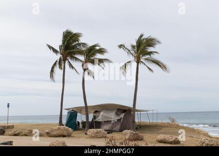 Farrington Highway, West (Leeward) Oahu, Hawaii Stockfoto