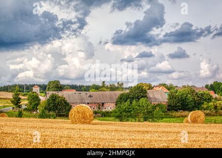 Feld mit Strotrollen im Harz Stockfoto