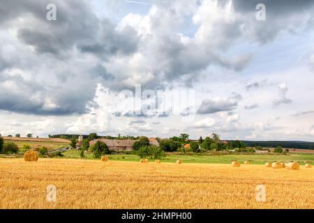 Feld mit Strotrollen im Harz Stockfoto