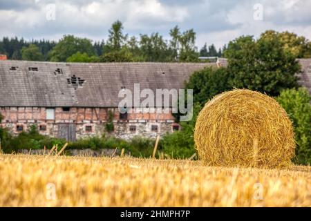 Feld mit Strotrollen im Harz Stockfoto