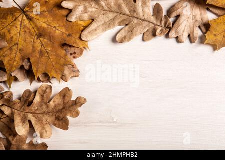 Laub aus herbstlicher Eiche und Ahornblättern auf einem hölzernen Hintergrund Stockfoto
