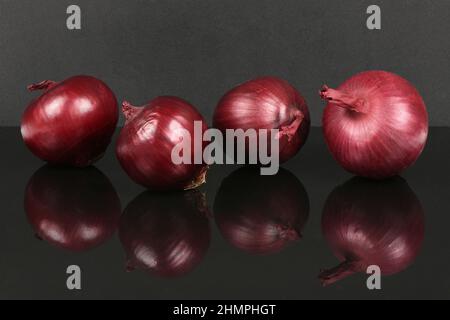 Rote Zwiebelbirne isoliert auf Acryl-schwarzem Hintergrund. Hochauflösendes Foto. Volle Schärfentiefe. Stockfoto