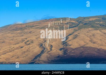 Windturbinen auf einem Hügel, Maui, Hawaii, USA Stockfoto