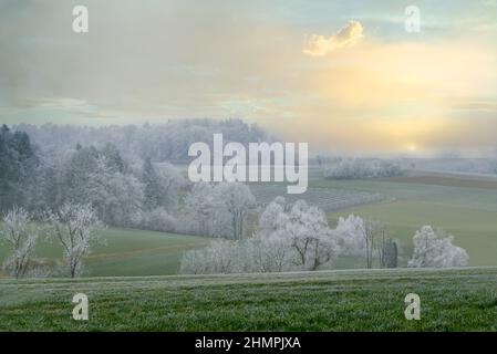 Sonnenaufgang über frostiger Morgenlandschaft, Aargau, Schweiz Stockfoto