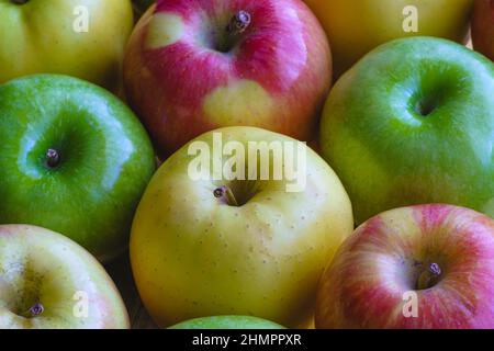 Mehrere Äpfel verschiedener frischer und schmackhafter Sorten, gelb, grün und rot, gruppiert Stockfoto