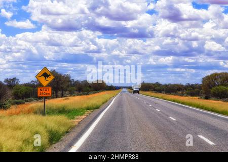 Kangaroo warnt vor der Gefahr von Wildtieren auf der abgelegenen Autobahn im australischen Outback. Stockfoto