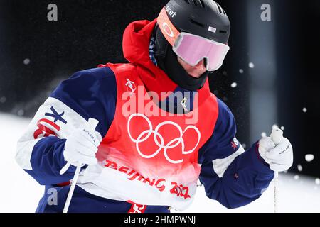 NUR VERKÄUFE MIT URSPRUNG IN DEN USA Cole McDonald (USA), 5. FEBRUAR 2022 - Freestyle Skiing : Men's Moguls Final l während des Beijing 2 Stockfoto