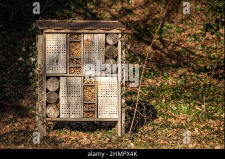 Insektenhaus im Garten. Bug Hotel am Park mit Pflanzen und Blumen in der Schweiz. Schutz. Stockfoto