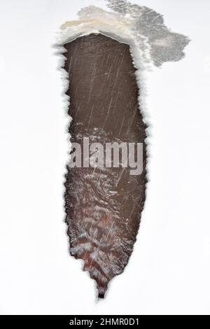 Kleiner Waldbach im Wald im Winter. Russland, Region Leningrad Stockfoto