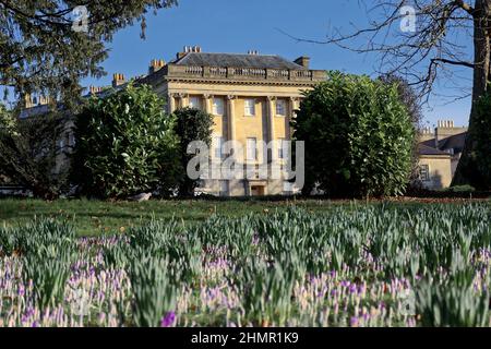 Baden Sie Wintersonne und Krokus im königlichen Sichelbad Stockfoto