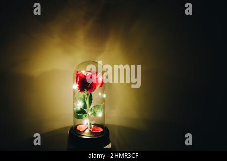 Romantische beleuchtete Rose in Glaskolben, romantisches Liebesgeschenk Stockfoto