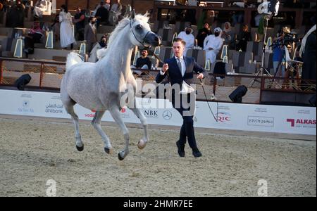 Doha, Katar. 11th. Februar 2022. Das Katara International Arabian Horse Festival (KIAHF) ist ein Weltklasse-Event und das größte Reitersportereignis, das von Katara (Katar) veranstaltet wird. Als eine der weltweit bestplatzierten Shows sind nur die besten Pferde teilnahmeberechtigt. Katar hat bereits 29 internationale Shows und Meisterschaften für reinrassige Araber veranstaltet. (Foto: Sidhik Keerantakath/Pacific Press) Quelle: Pacific Press Media Production Corp./Alamy Live News Stockfoto