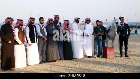 Doha, Katar. 11th. Februar 2022. Das Katara International Arabian Horse Festival (KIAHF) ist ein Weltklasse-Event und das größte Reitersportereignis, das von Katara (Katar) veranstaltet wird. Als eine der weltweit bestplatzierten Shows sind nur die besten Pferde teilnahmeberechtigt. Katar hat bereits 29 internationale Shows und Meisterschaften für reinrassige Araber veranstaltet. (Bild: © Sidhik Keerantakath/Pacific Press via ZUMA Press Wire) Bild: ZUMA Press, Inc./Alamy Live News Stockfoto