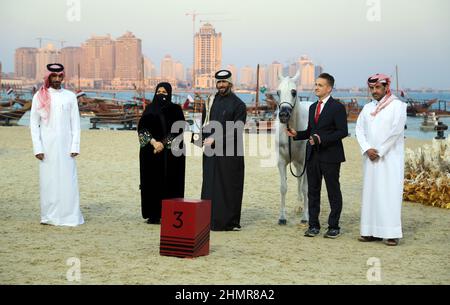 Doha, Katar. 11th. Februar 2022. Das Katara International Arabian Horse Festival (KIAHF) ist ein Weltklasse-Event und das größte Reitersportereignis, das von Katara (Katar) veranstaltet wird. Als eine der weltweit bestplatzierten Shows sind nur die besten Pferde teilnahmeberechtigt. Katar hat bereits 29 internationale Shows und Meisterschaften für reinrassige Araber veranstaltet. (Bild: © Sidhik Keerantakath/Pacific Press via ZUMA Press Wire) Bild: ZUMA Press, Inc./Alamy Live News Stockfoto