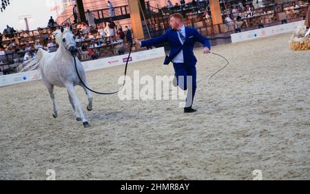 Doha, Katar. 11th. Februar 2022. Das Katara International Arabian Horse Festival (KIAHF) ist ein Weltklasse-Event und das größte Reitersportereignis, das von Katara (Katar) veranstaltet wird. Als eine der weltweit bestplatzierten Shows sind nur die besten Pferde teilnahmeberechtigt. Katar hat bereits 29 internationale Shows und Meisterschaften für reinrassige Araber veranstaltet. (Bild: © Sidhik Keerantakath/Pacific Press via ZUMA Press Wire) Bild: ZUMA Press, Inc./Alamy Live News Stockfoto