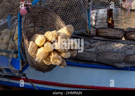 Boot mit Körben von Biskuit Kürbis Stockfoto