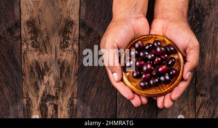 Frische acai-Beere in den Händen - Euterpe oleracea Stockfoto