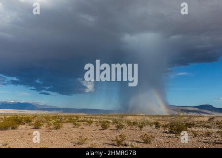 Ein Regenbogen bildet sich im Abfluss eines Gewitters der Chihuahuan-Wüste. Stockfoto