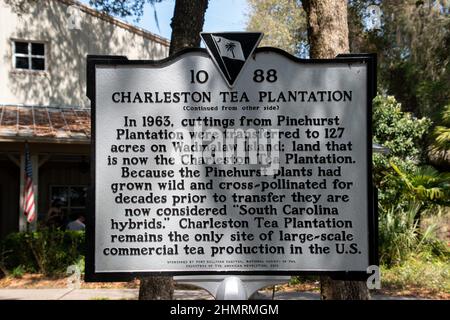 Eine Tafel, die über die Geschichte der Charleston Tea Plantation spricht Stockfoto