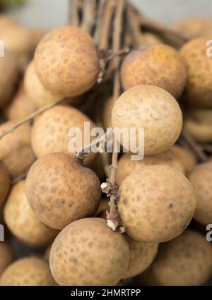 Bündel Longanfrüchte auf verkaufen mit Tageslicht Stockfoto