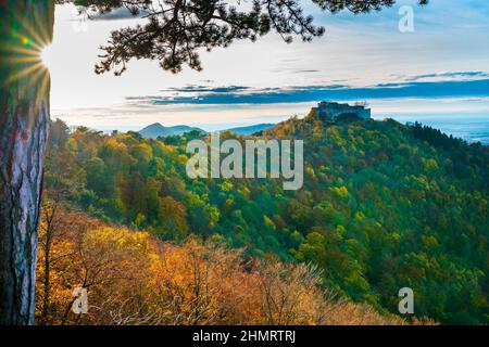 Deutschland, Panoramablick auf das Schloss Höhenneufen in der schwäbischen alb auf einem Berg im Herbst bei Sonnenuntergang mit Sonnenstrahlen unter einem Baumstamm Stockfoto