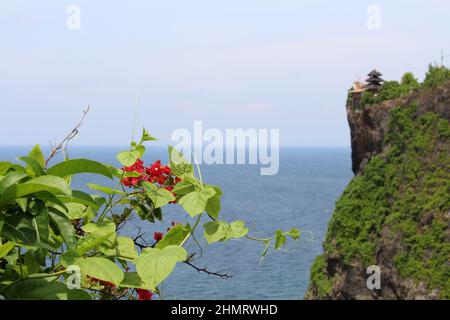 Uluwatu Tempel von Bali und Blumen. Aufgenommen Im Januar 2022. Stockfoto