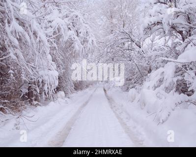 Eine Straße mit Bäumen auf beiden Seiten und komplett mit Schnee bedeckt. Ein schneebedecktes Winterfoto Stockfoto