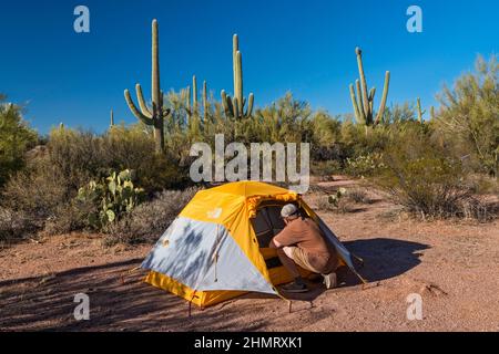 Camper auf dem Campingplatz im saguaro Wald vor der Silverbell Road, in der Nähe von Ragged Top Mountain, Silver Bell Mountains, Ironwood Forest National Monument, Arizona, USA Stockfoto