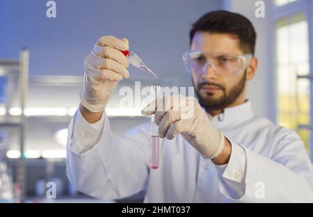 Reagenzglas mit Flüssigkeit in den Händen eines männlichen Wissenschaftlers, der eine Pipette verwendet, um Flüssigkeit hinzuzufügen. Stockfoto