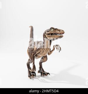 velociraptor isoliert auf weißem Hintergrund 3D Abbildung Stockfoto