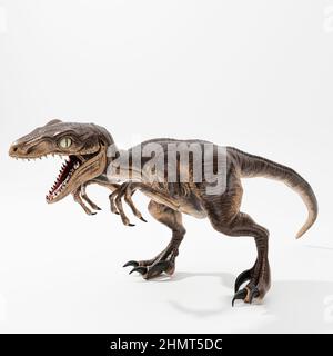 velociraptor isoliert auf weißem Hintergrund 3D Abbildung Stockfoto