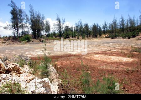 BILD ZEIGT STEINBRUCH VOR DER SANIERUNG. DIE STEINBRÜCHE, DIE AUS DEN BAMBURI ZEMENTWERKEN STAMMEN, WURDEN IM RAHMEN DES WELTBEKANNTEN LAFARGE WILDSCHUTZPROJEKTS VERJÜNGT UND IN DIE WILDNIS ZURÜCKGEFÜHRT. DAS HEILIGTUM BEHERBERGT DAS BABY HIPPO OWEN, DAS WÄHREND DES TSUNAMIS AM BOXTAG VON SEINER MUTTER GETRENNT UND IM LAFARGE'S HALLER PARK SANCTUARY IN MOMBASSA, KENIA, GERETTET UND WIEDERAUFGENOMMEN WURDE. ER HAT EINE ERSTAUNLICHE ERSATZMUTTER-SOHN-BEZIEHUNG MIT DER 130-JÄHRIGEN MZEE, EINER RIESIGEN SCHILDKRÖTE, AUFGEBAUT. MOMBASSA. KENIA. BILD: GARYROBERTSPHOTO.COM Stockfoto