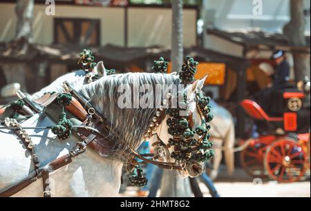 Ornamente auf dem Kopf der Kutschenpferde auf dem Jahrmarkt in Jerez de la Frontera Caáz Stockfoto