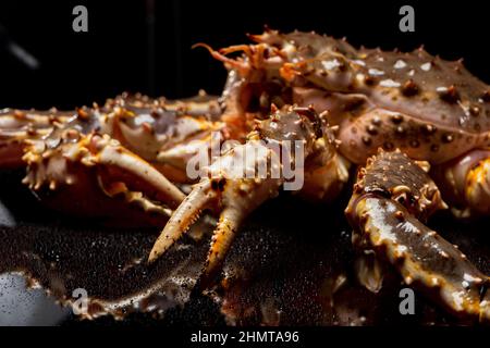 Rohe lebende Kamtschatka-Krabbe Paralithodes camtschatica, isoliert auf schwarzem Hintergrund Stockfoto