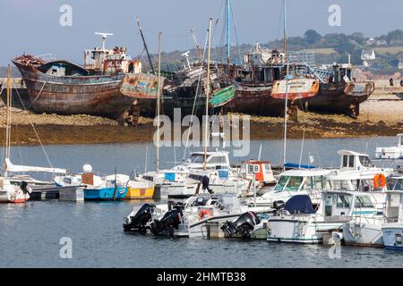 Schiffswracks im Hafen von Camaret sur Mer auf der Halbinsel Crozon; Bretagne; Frankreich Stockfoto