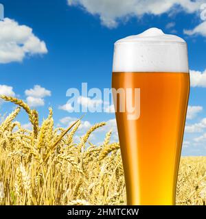 bayerisches weizenbier in einem weizenfeld Stockfoto