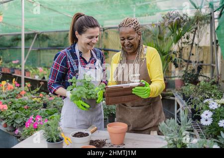 Glückliche Frauen, die Spaß an der Zusammenarbeit im Gartengeschäft haben Stockfoto