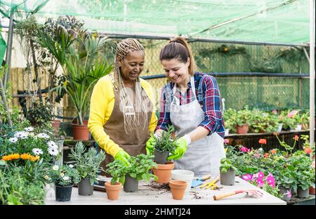 Glückliche Frauen, die Spaß an der Zusammenarbeit im Blumengartenladen haben Stockfoto