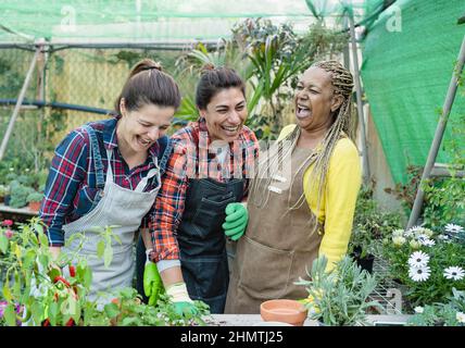 Glückliche multirassische Gärtner, die Spaß haben, in Pflanzen und Blumen Gartengeschäft zu arbeiten Stockfoto