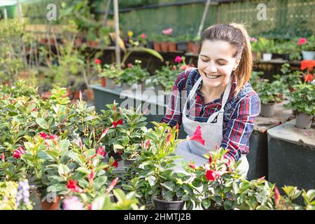 Glückliche Frau, die sich um Pflanzen und Blumen auf dem Gartenmarkt kümmert Stockfoto