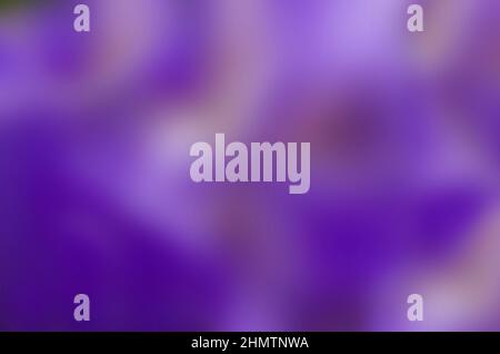 Violetter abstrakter Hintergrund für Ihren Text Stockfoto