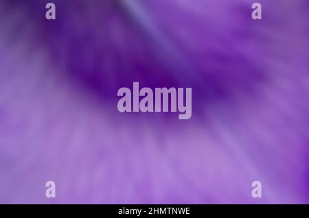 Violetter abstrakter Hintergrund für Ihren Text Stockfoto