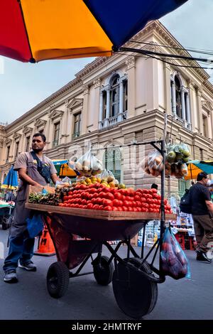 Tomatenverkäufer im Centro Historico, San Salvador, El Salvador Stockfoto