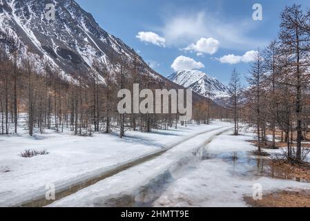 Malerische Frühlingslandschaft mit einem Feldweg durch den Wald, Schnee, Pfützen und Reflexionen in ihnen vor dem Hintergrund der verschneiten Berge, blu Stockfoto
