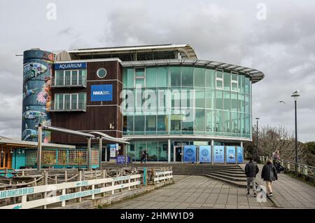 National Marine Aquarium in Plymouth Barbican, internationales Forschungszentrum und führende Besucherattraktion  Plymouth Sutton Harbour. Es ist die britische LAR Stockfoto