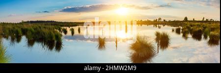 Sonnenuntergang über einem Sumpfsee bei den Hautes Fagnes Stockfoto