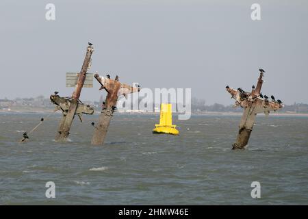 Sheerness, Kent, Großbritannien. 12th. Februar 2022. Das Wrack der SS Richard Montgomery, das im August 1944 in der Themse-Mündung vor Sheerness Kent versank. Das Schiff lief im Jahr WW2 auf Grund und enthält noch 1.400 Tonnen Sprengstoff. Jetzt, 78 Jahre nach dem Untergang der Royal Naval Bombenentsorgung, wurden Experten gerufen, um das Wrack sicher zu machen, indem zunächst die Masten der Schiffe entfernt wurden, die innerhalb der Sperrzone sichtbar geblieben sind Das Schiff. Quelle: MARTIN DALTON/Alamy Live News Stockfoto