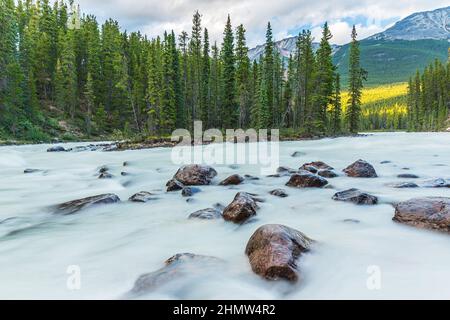 Sunwapta River mit Insel im Jasper Nationalpark canada Stockfoto
